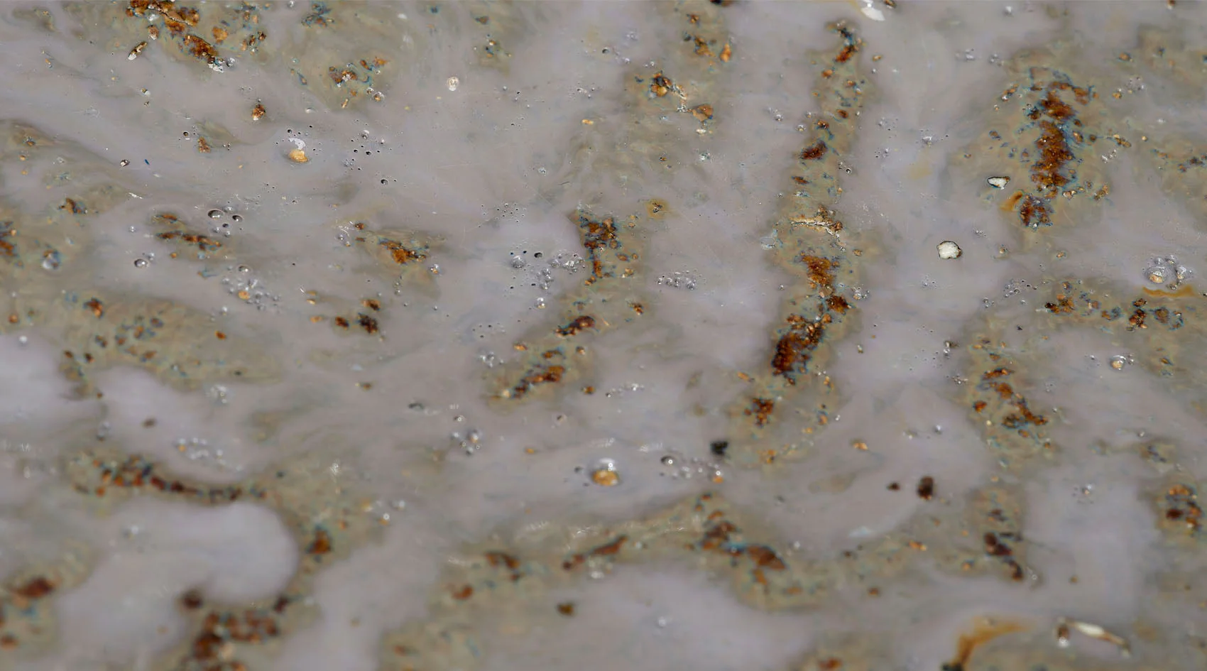 Crustacean Bowl - Image 4