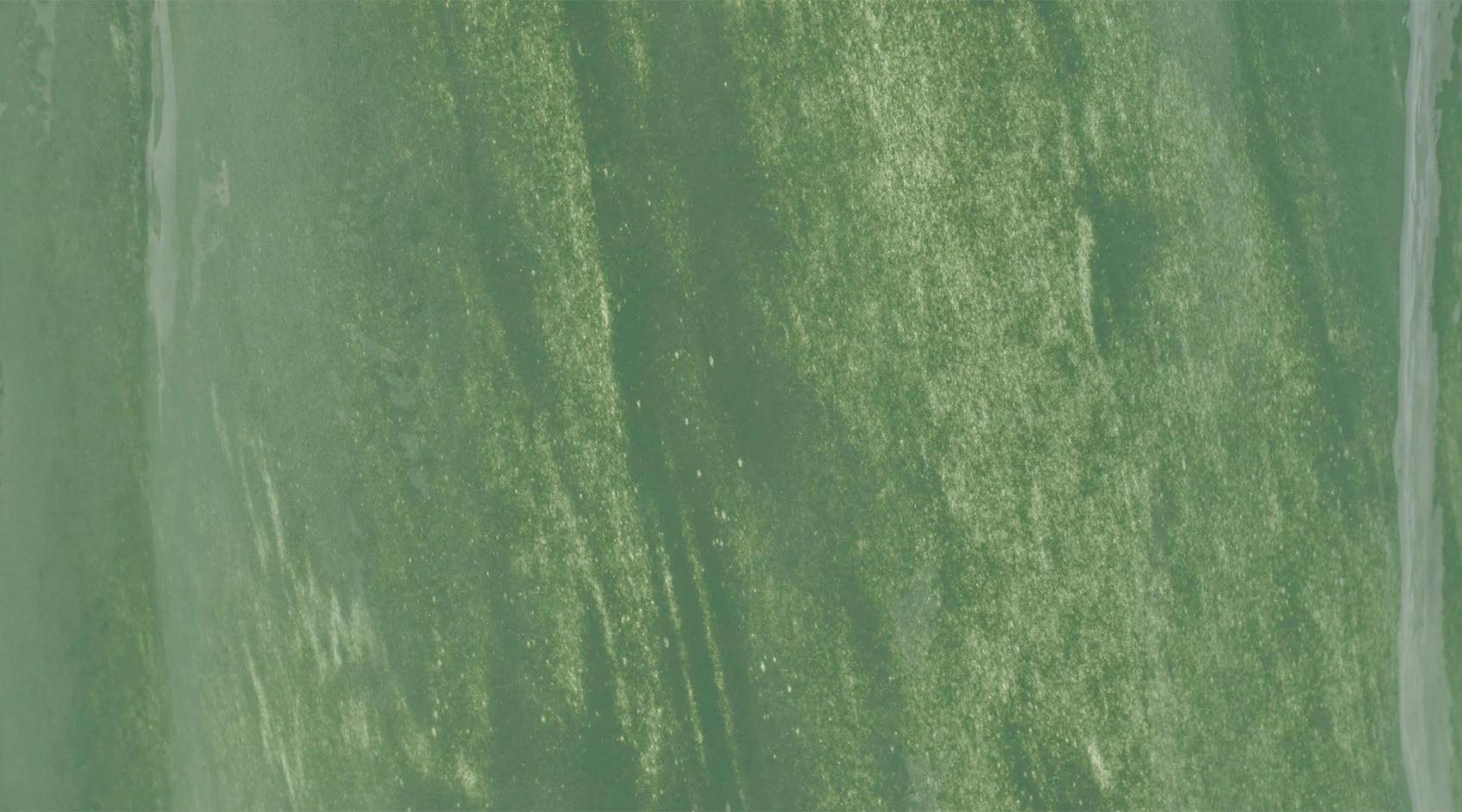 Sequoia Vase - Image 5