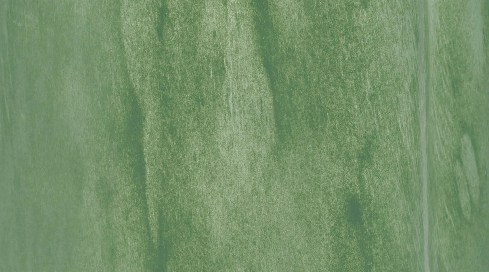 Sequoia Vase - Image 5