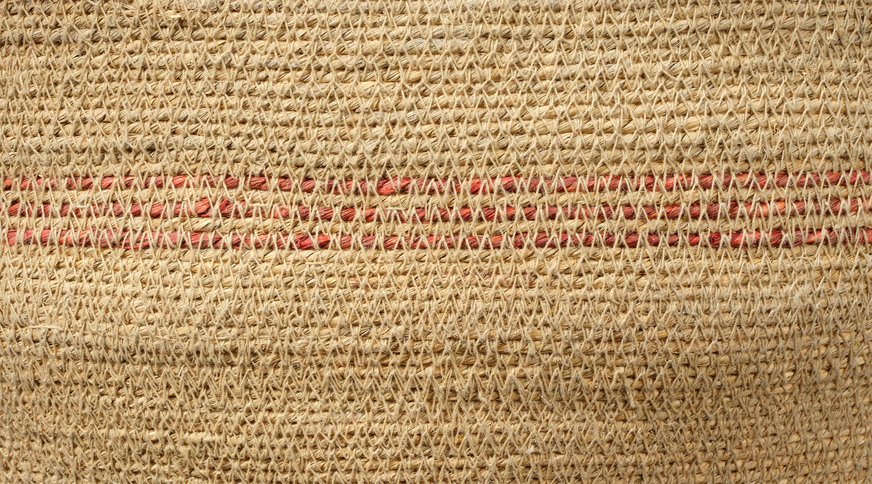 Trophy Basket - Image 4